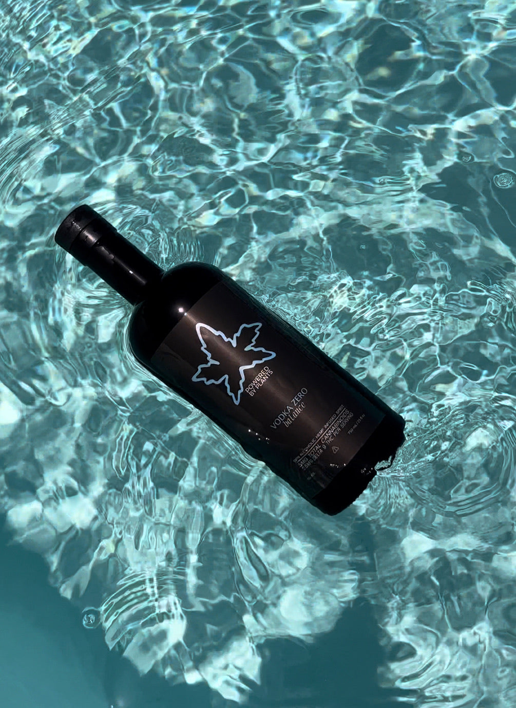 Introducing Non Alcoholic Hemp Spirits: What's All the Buzz About?