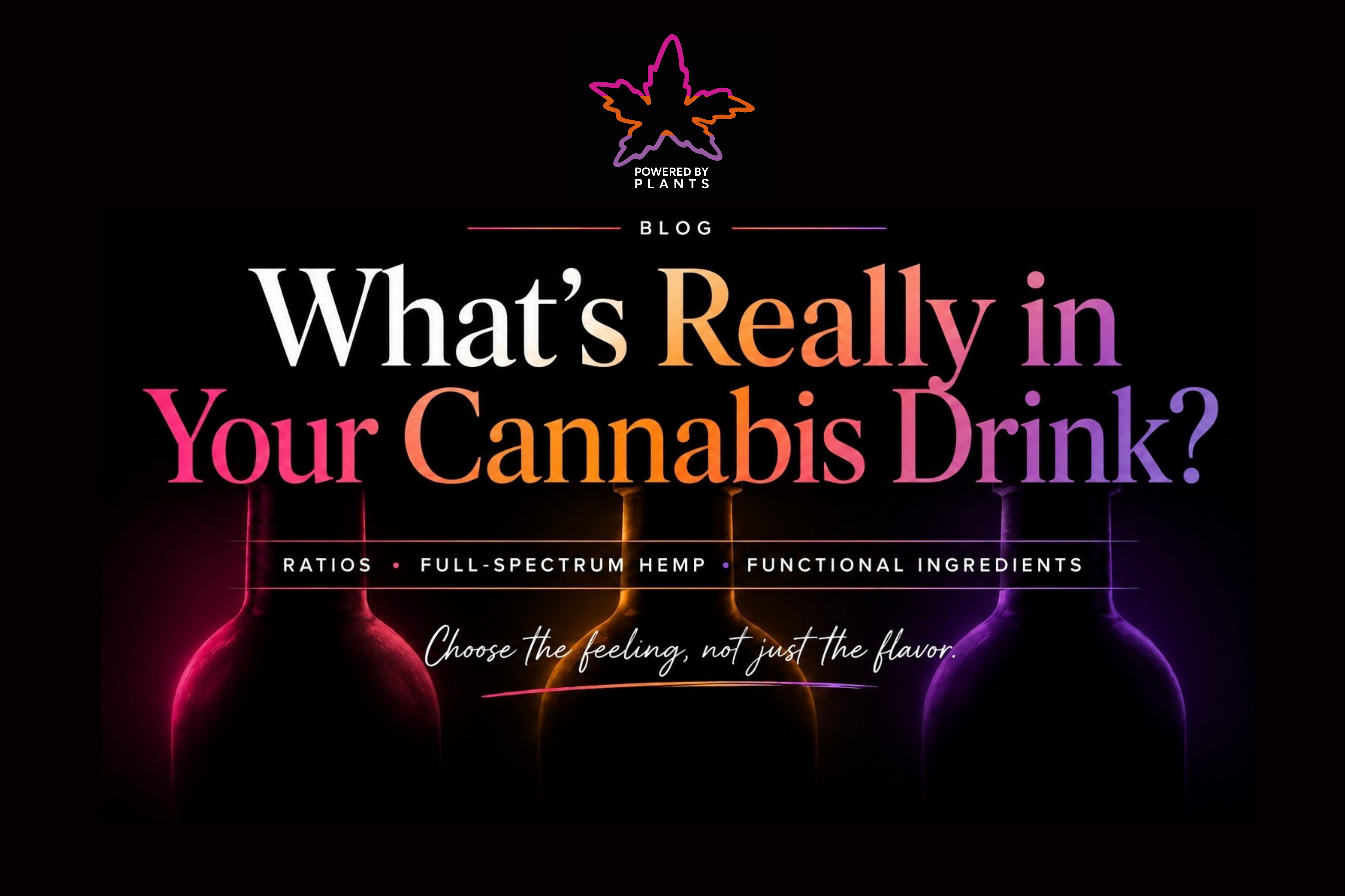 What’s Really in Your Cannabis Drink? Why ratios, full-spectrum hemp, and functional ingredients can change the way it feels.