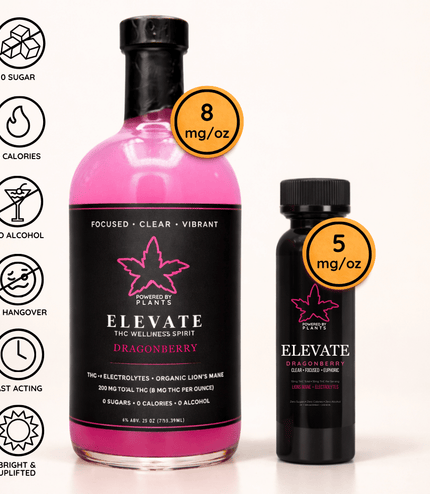 Elevate Deep Work Sprint