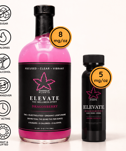 Elevate Deep Work Sprint