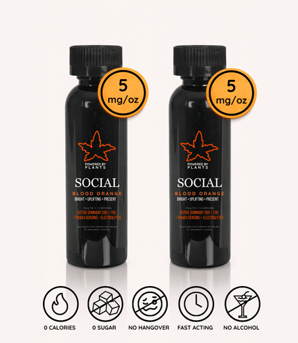 Social Low-Key Evening Pack