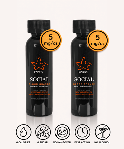 Social Low-Key Evening Pack