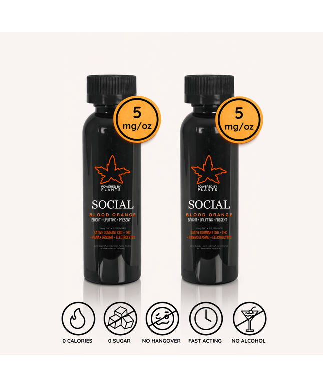 Social Low-Key Evening Pack