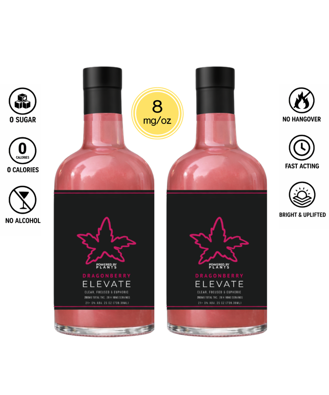 Elevate Creators Weekend