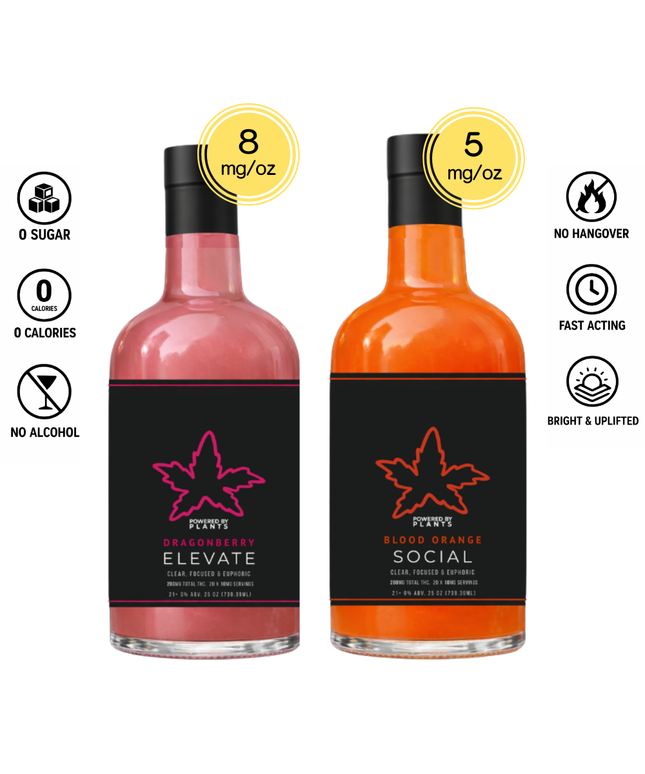 Weekend Warrior Pack