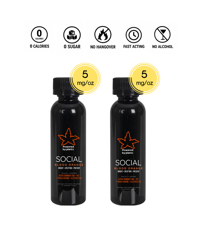 Social Low-Key Evening Pack