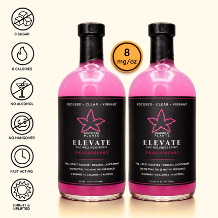 Collection image for: All Moods Combination - THE MATRIX