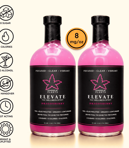 Elevate Creators Weekend