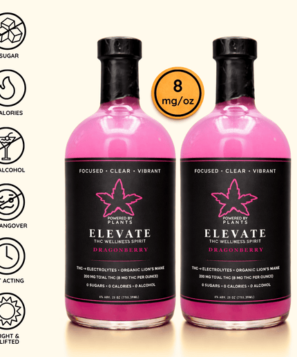 Elevate Creators Weekend