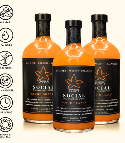 Social Blood Orange - Connection & Joy (750ml)