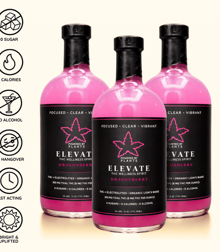 Elevate Dragonberry - Focus & Energy (750ml)
