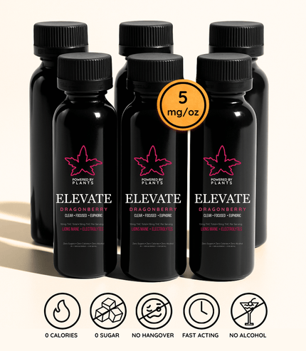 Elevate Dragonberry Mini - Focus & Energy (60ml)