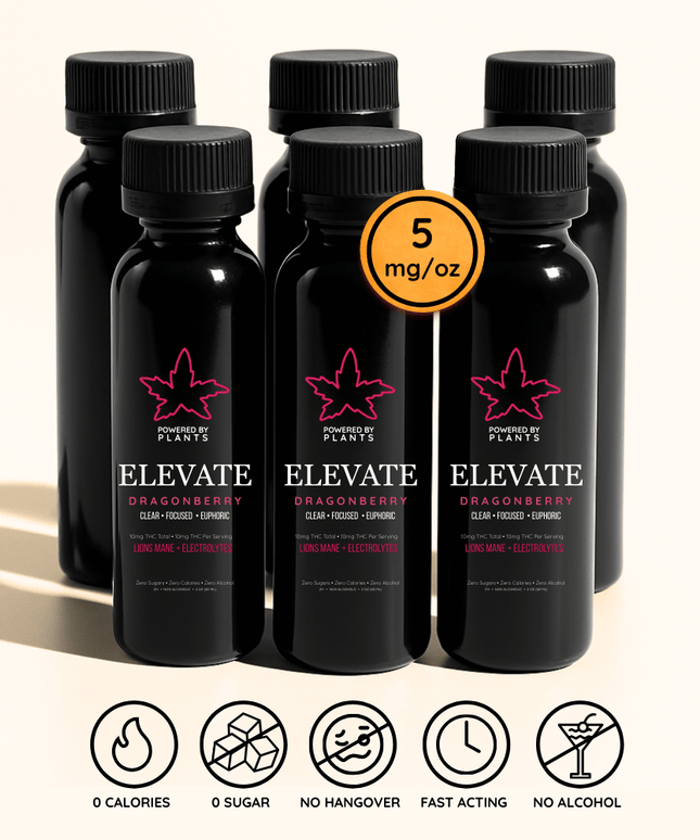Elevate Dragonberry Mini - Focus & Energy (60ml)