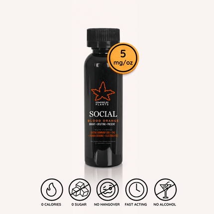 Collection image for: Mini Bottles (60oz)