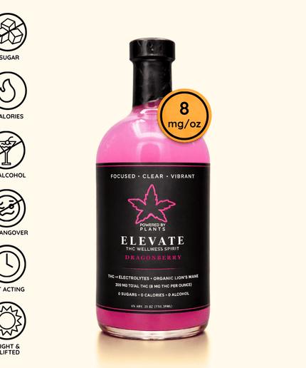 Elevate Workday Flow