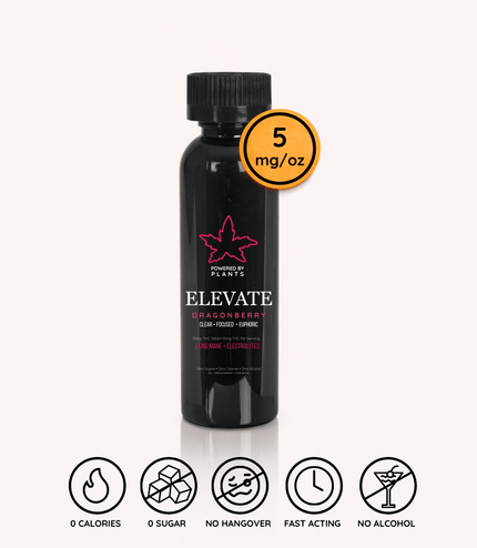 Elevate Dragonberry Mini - Focus & Energy (60ml)