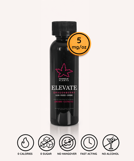 Elevate Dragonberry Mini - Focus & Energy (60ml)