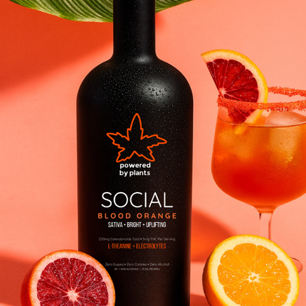 Collection image for: Blood Orange - Social