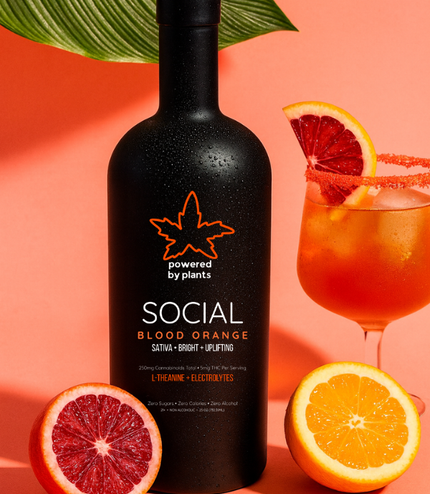 Social Blood Orange - Connection & Joy (750ml)