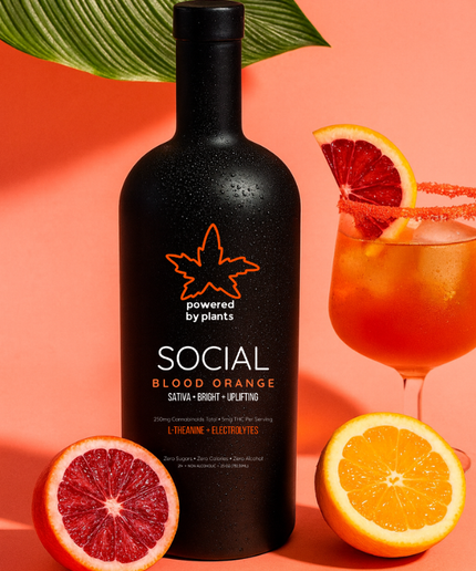 Social Blood Orange - Connection & Joy (750ml)