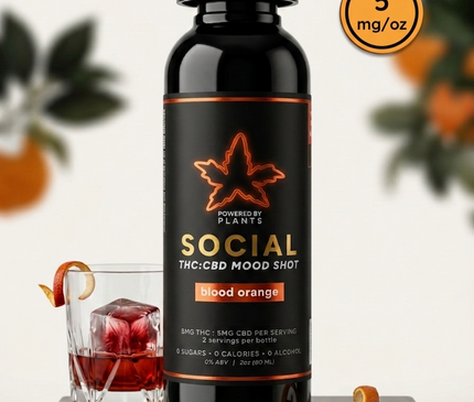 Social Blood Orange Mini - Connection & Joy (60ml)