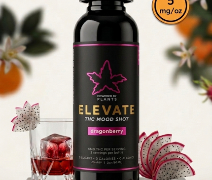 Elevate Dragonberry Mini - Focus & Energy (60ml)
