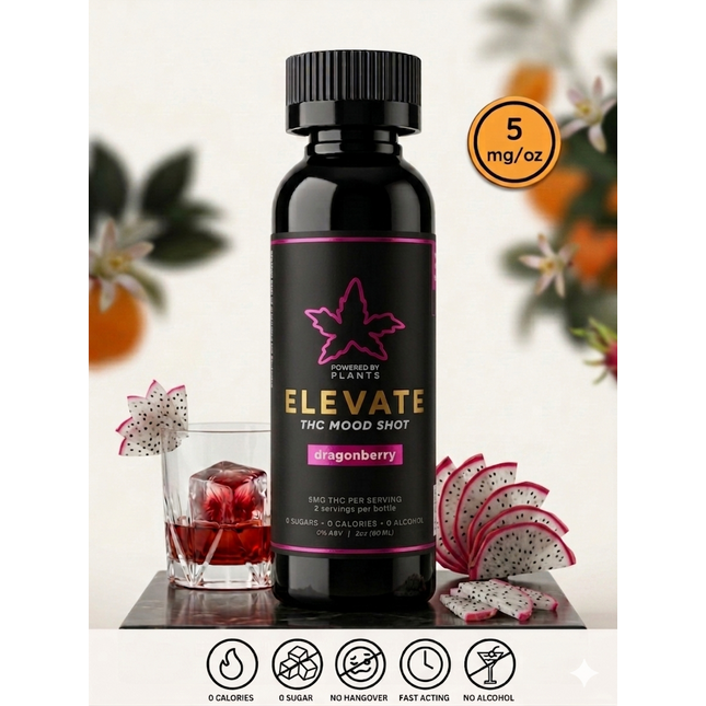 Elevate Dragonberry Mini - Focus & Energy (60ml)