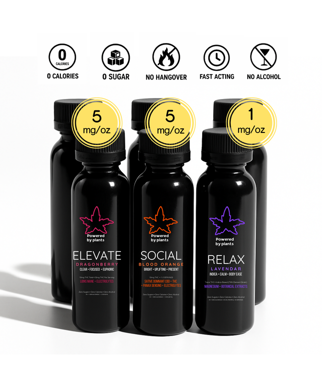 Mood House Starter Flight