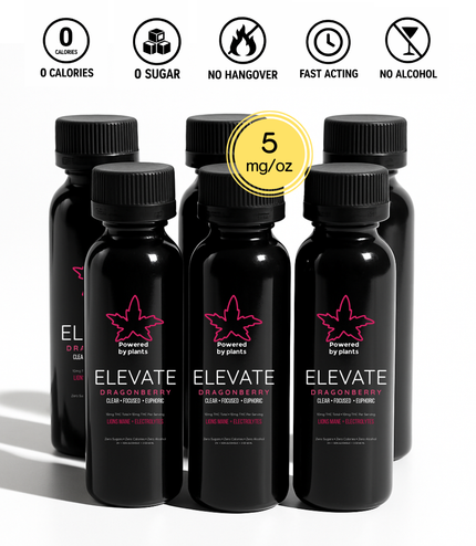 Elevate Dragonberry Mini - Focus & Energy (60ml)