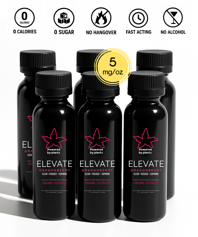 Elevate Dragonberry Mini - Focus & Energy (60ml)