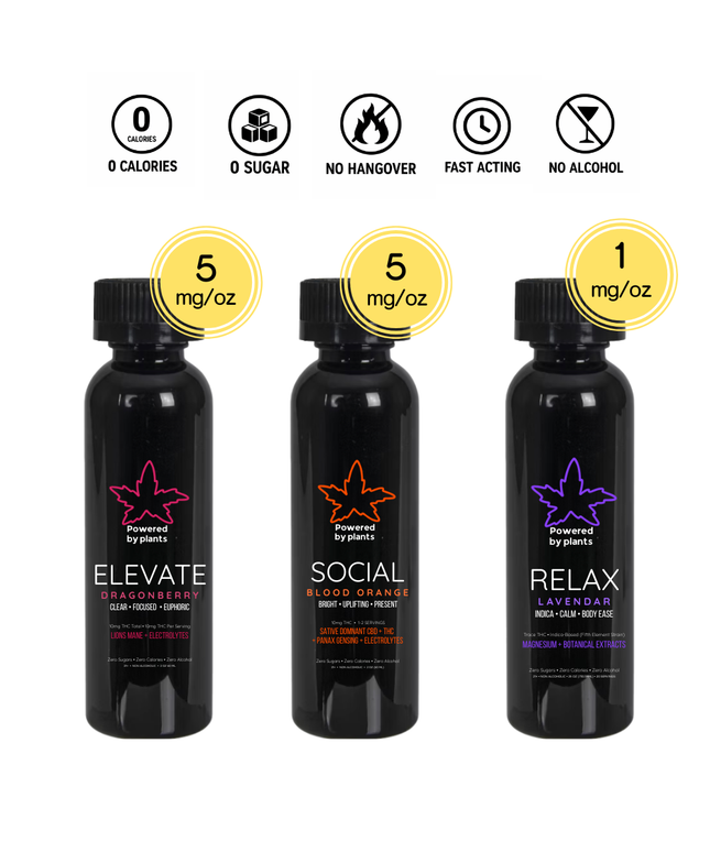 Mood House Tasting Trio