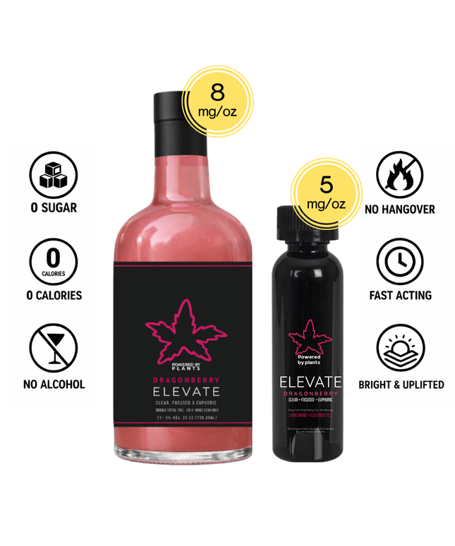 Elevate Deep Work Sprint