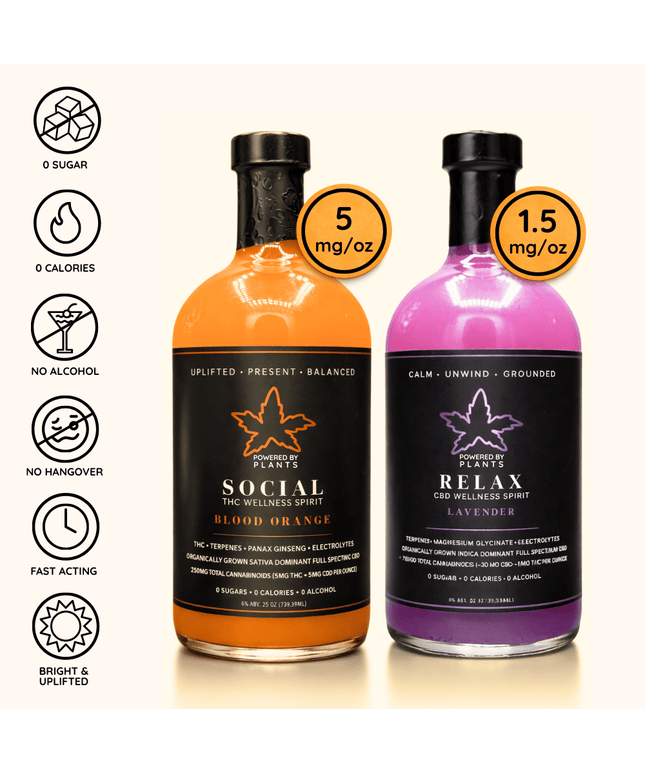 Alcohol-Free Night In Kit