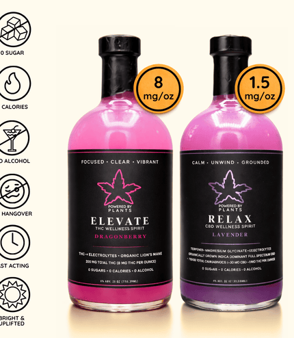 Focus & Flow Desk Set