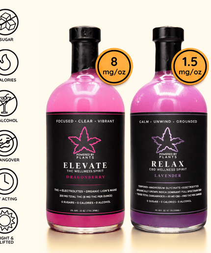 Focus & Flow Desk Set