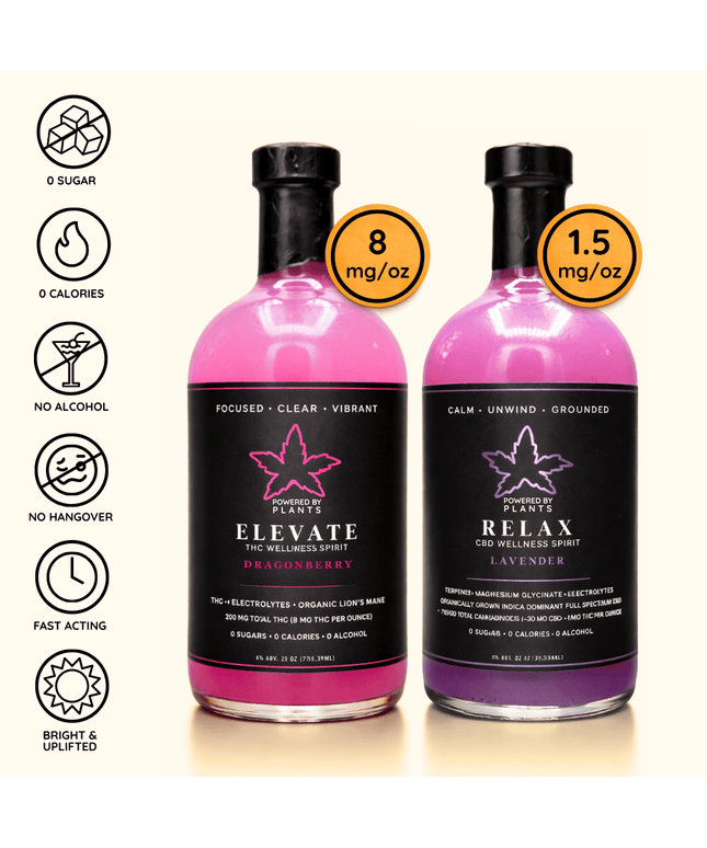 Focus & Flow Desk Set