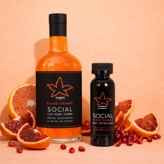 <h2>Connection & Joy</h2><h3>Social Blood Orange</h3><p>5mg THC per shot for Social + Connections</p>