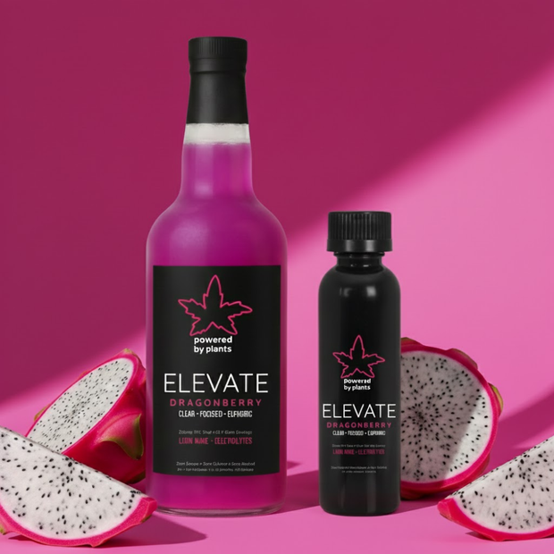 <h3>Elevate Dragonberry</h3><h4>Focus & Energy</h4><p>10mg THC per shot for Focus + Productivity</p>