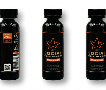 Social Blood Orange Mini - Connection & Joy (60ml)