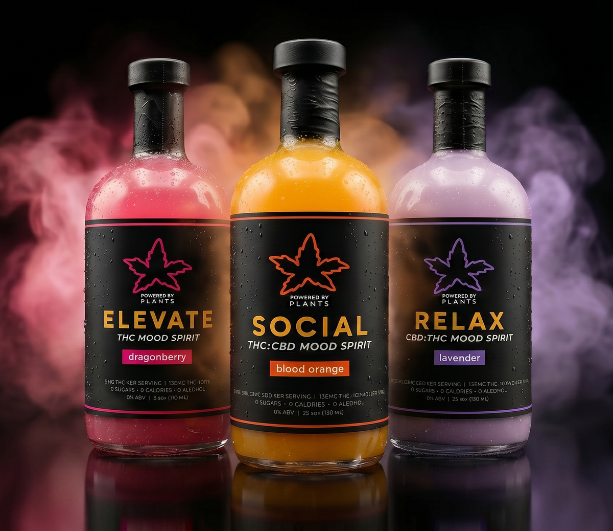 PBP Mood House — Elevate, Social, Ritual